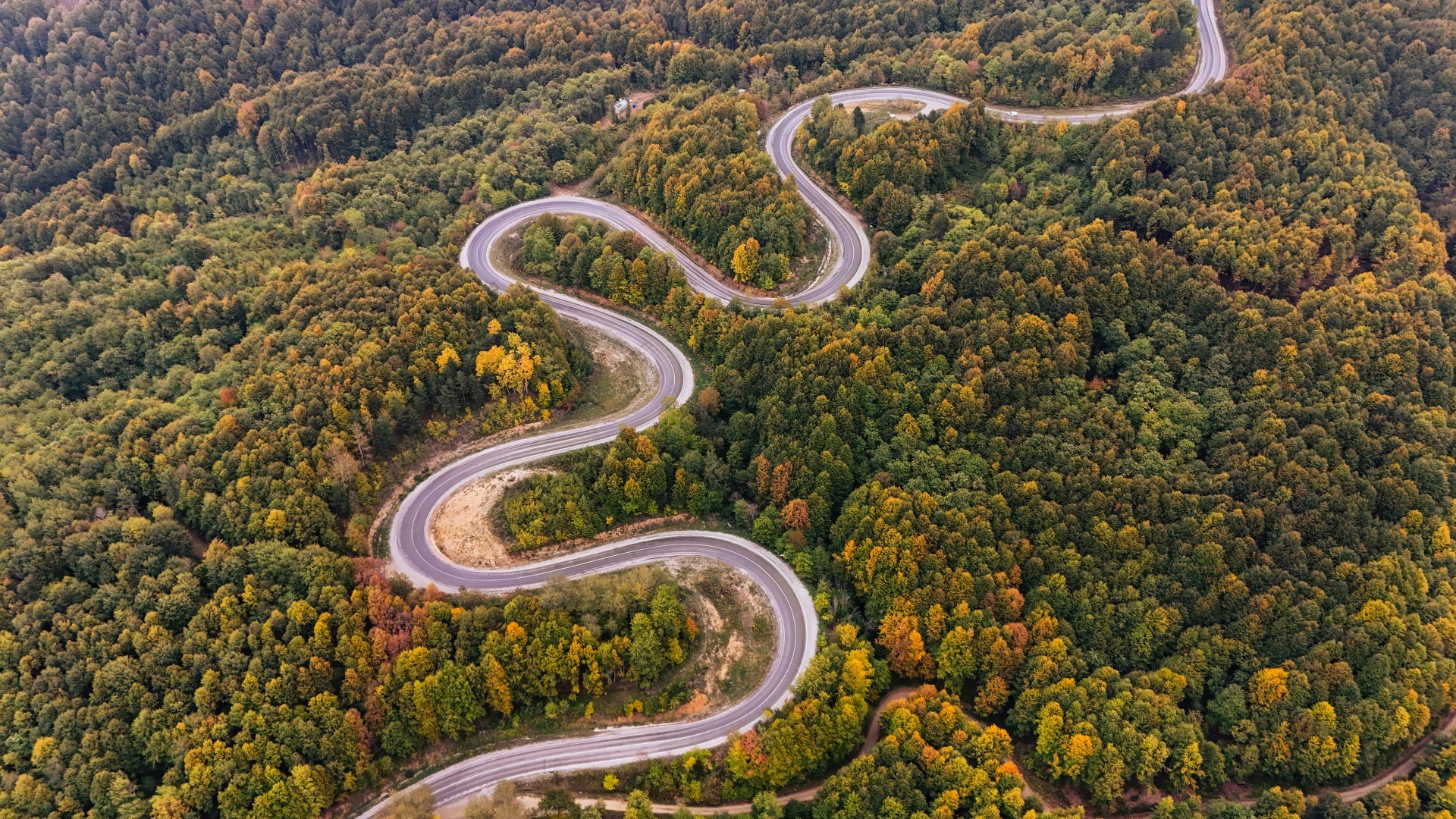 İnegöl'de renk cümbüşü başladı