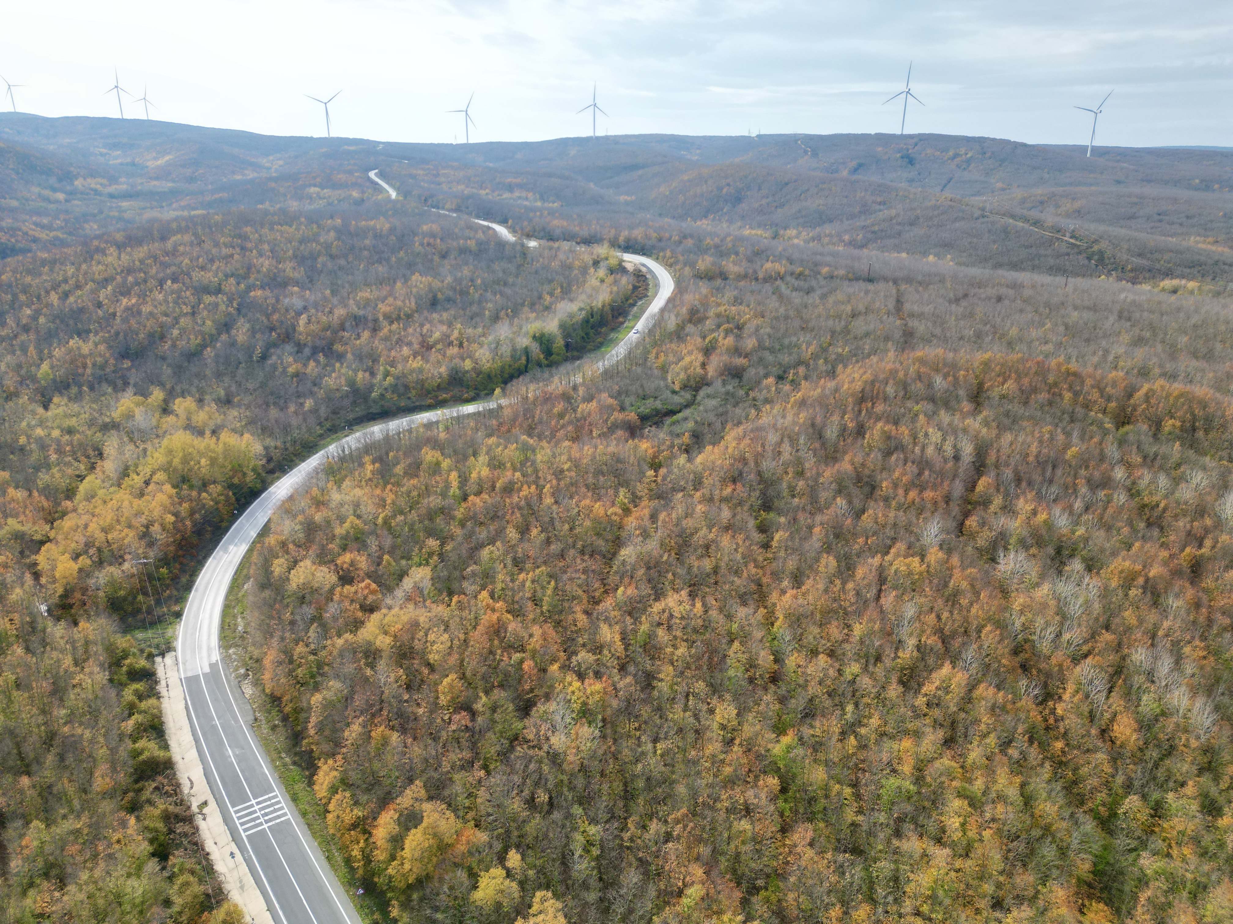 Tekirdağ'da ormanlar sonbahar renklerine büründü