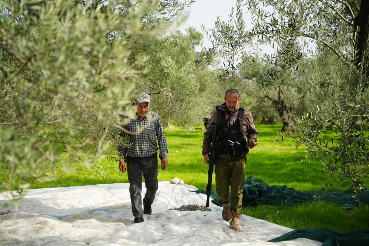 Aa Picture 20251120 39755529