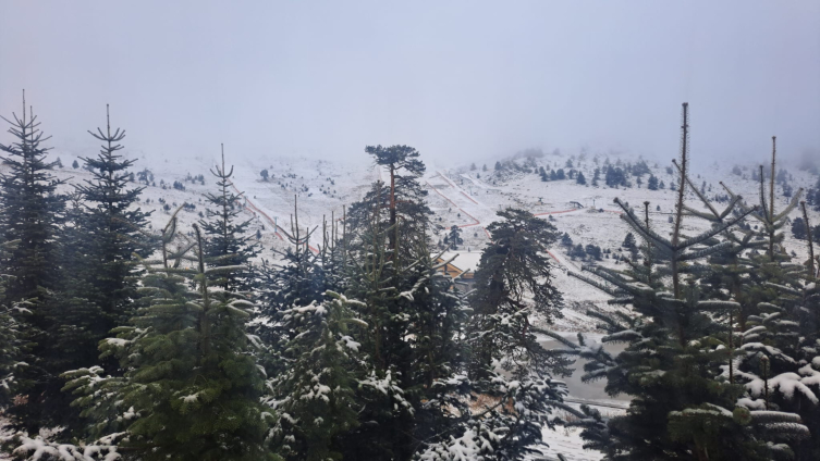 Aa Picture 20251130 39848919