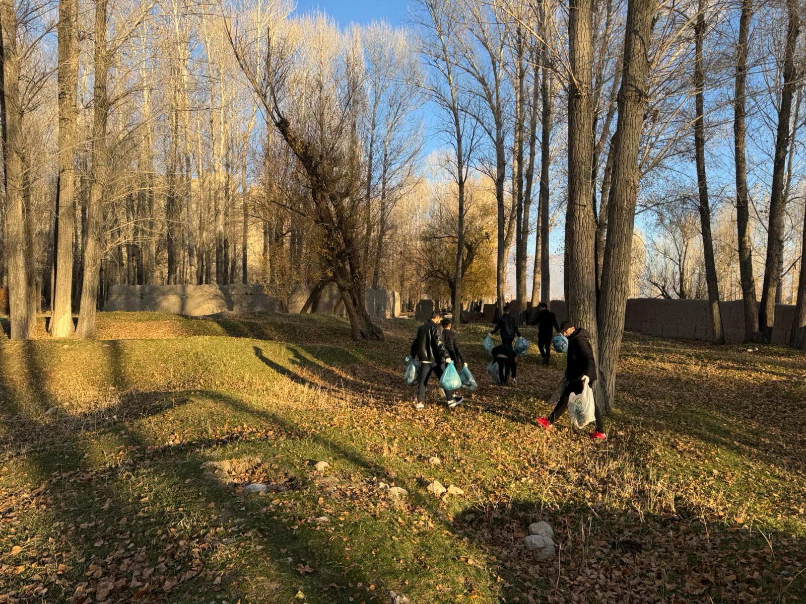 Ç Ö Ğ T O P L A M A