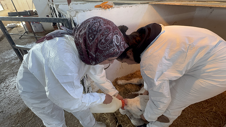 06 2025 01 A R A L I K 08 20251213 2 72046999 120127893