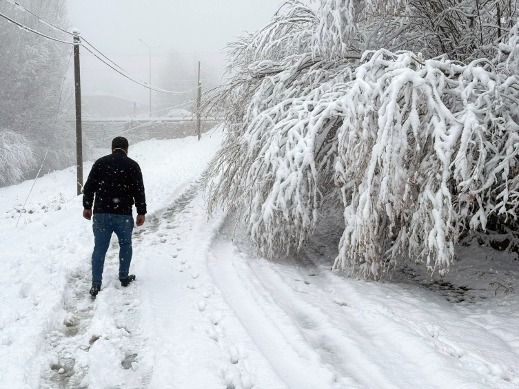 Aa Picture 20251208 39919519