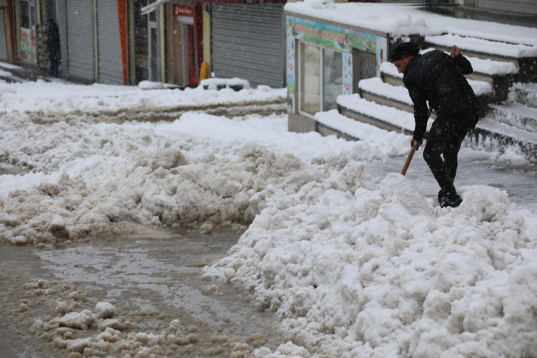 Aa Picture 20251208 39919528