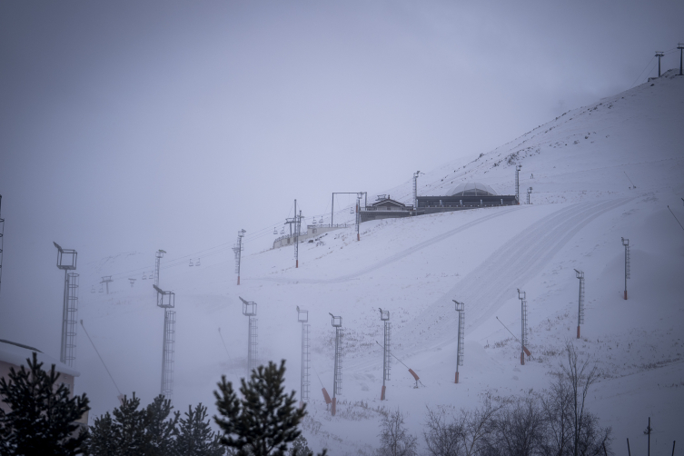 Aa Picture 20251212 39960703