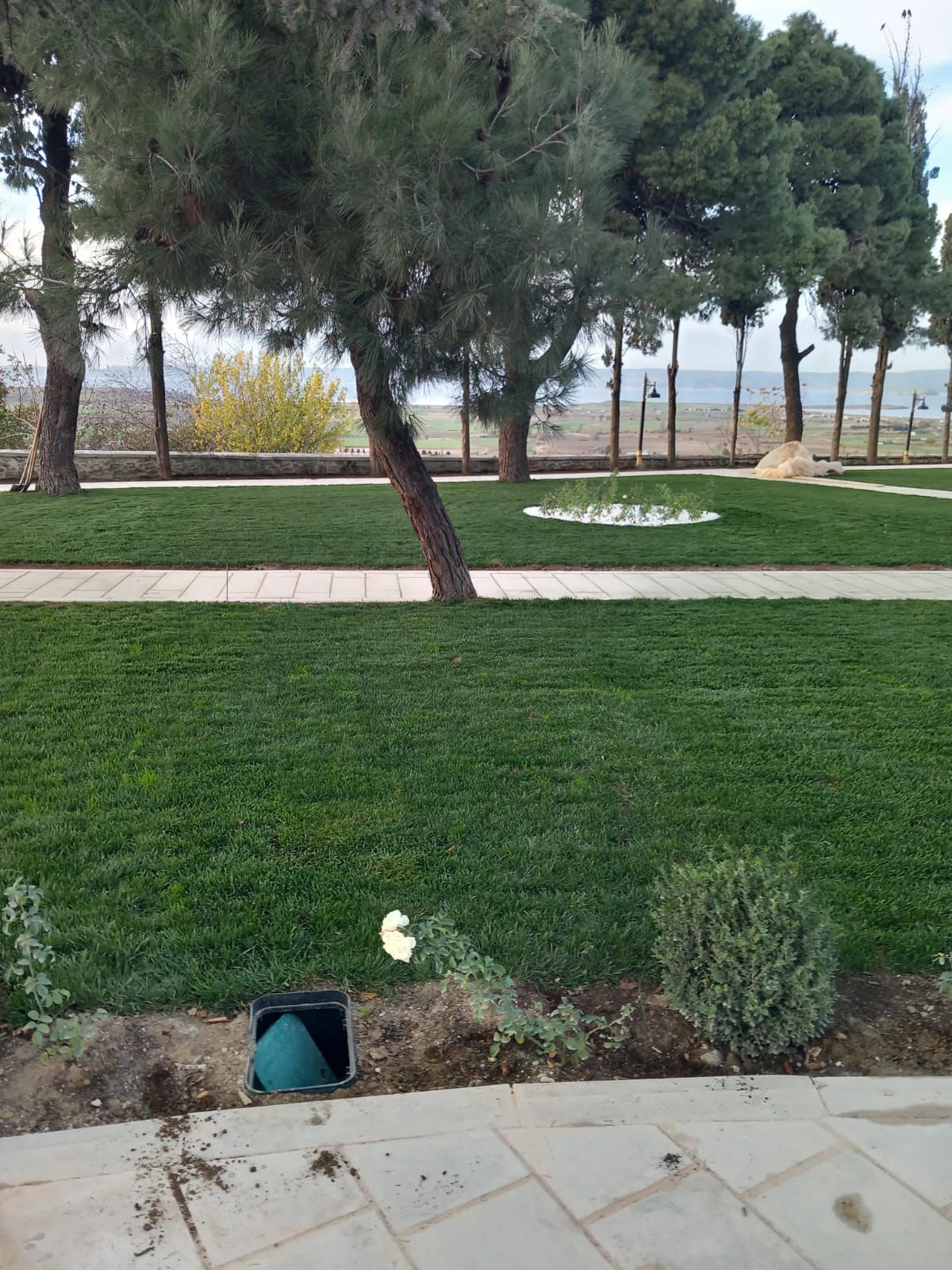 Whatsapp Image 2025 12 02 At 18.01.08 (1)