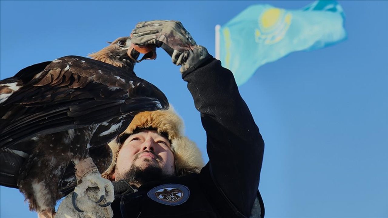 Kazaklar, kadim gelenek kartalla avcılığı yaşatmaya devam ediyor