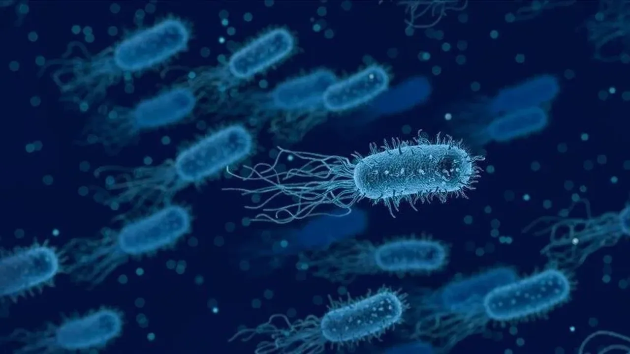 Yapay Zekayla Süper Bakteriye Karşı Yeni Antibiyotik