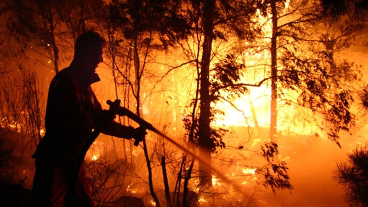 Sakız Adası'ndaki orman yangını büyük ölçüde kontrol altına alındı