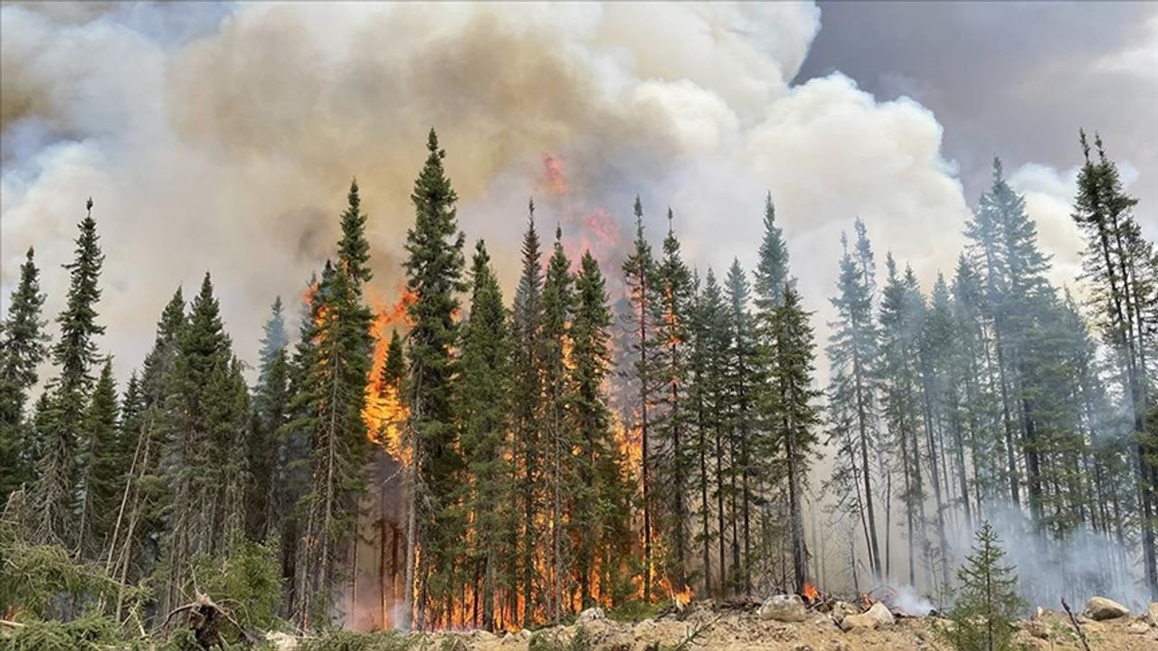 Kanada'daki orman yangınlarında hayatını kaybeden itfaiyeci sayısı 3'e çıktı