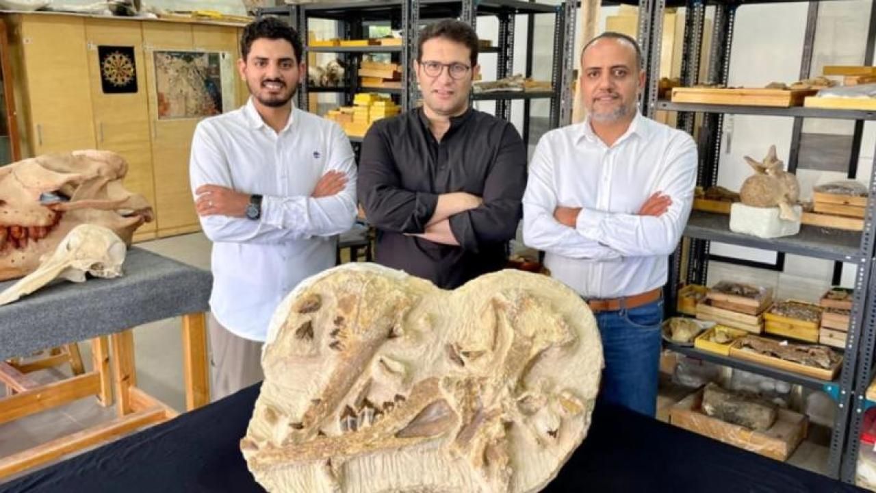 41 milyon yıllık balina fosili Mısır'da bulundu