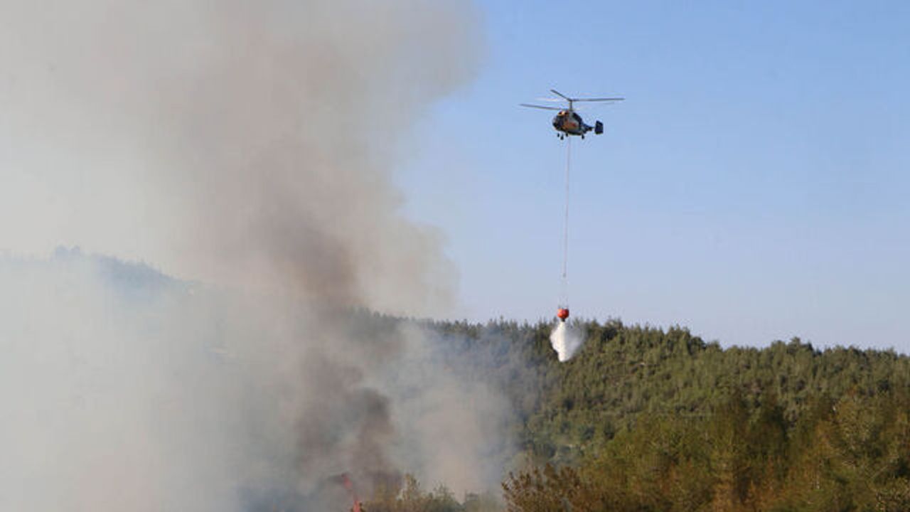 Adana'da ormanlık alana sıçrayan yangın söndürüldü