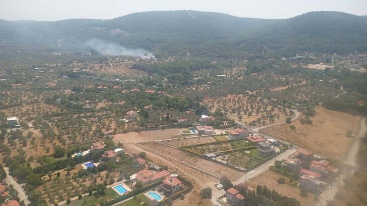İzmir'de çıkan orman yangını, yarım saatte kontrol altına alındı
