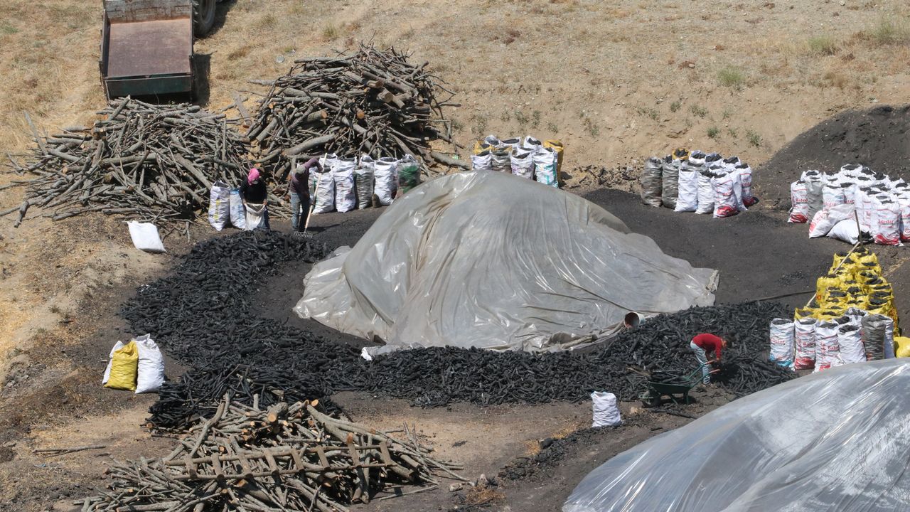 Mangal kömürü işçileri, bunaltıcı sıcaklarda üretime devam ediyor