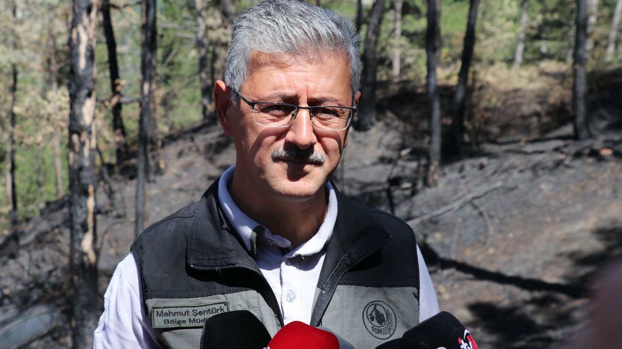 Bolu Orman Bölge Müdürü Şentürk: Bolu'da bu yıl çıkan 20 orman yangınında 150 hektarlık alan zarar gördü