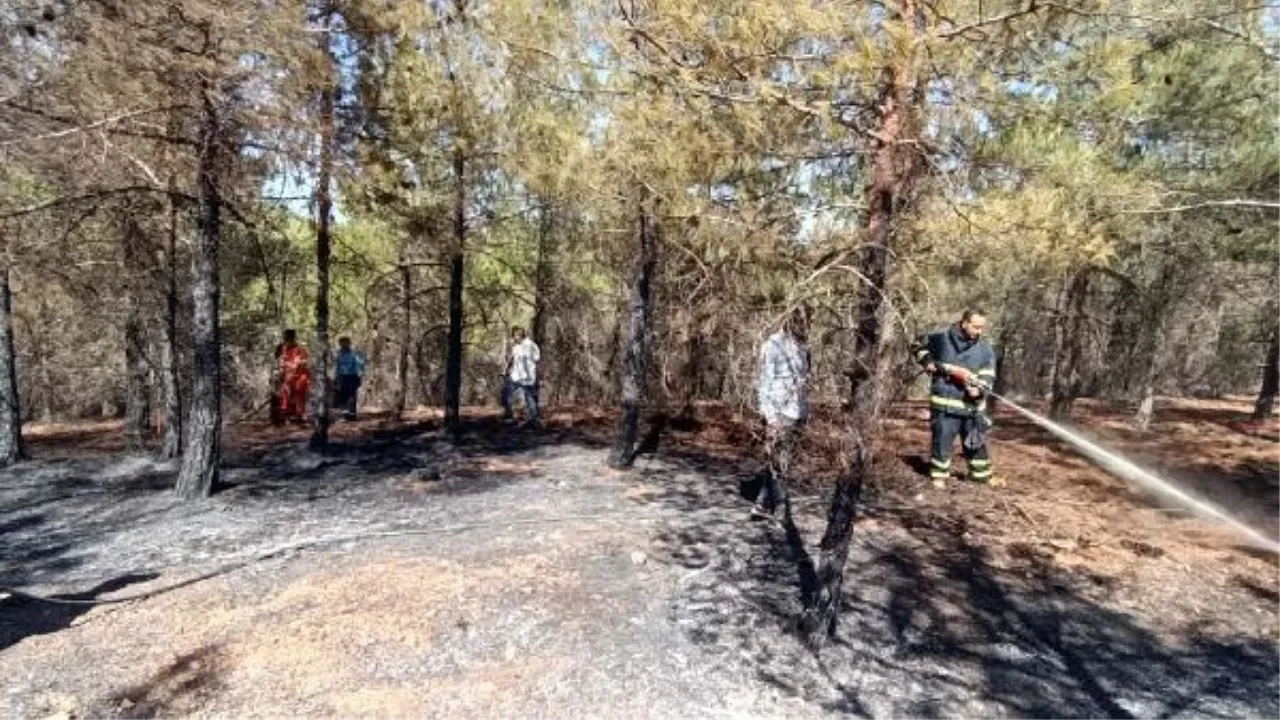 Gaziantep'te piknik alanında çıkan yangın kontrol altına alındı