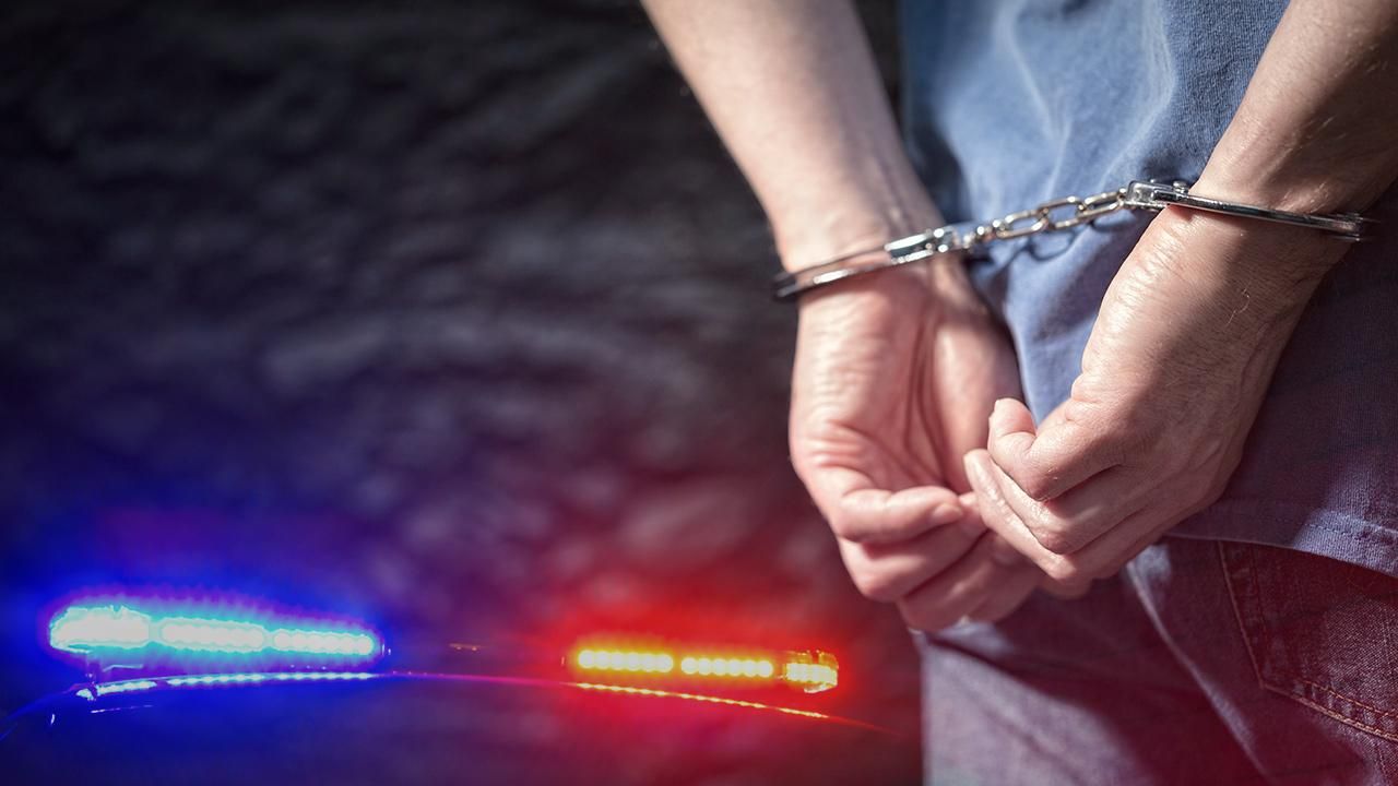 Niğde'de 72,5 kilogram esrar ele geçirilen tırın sürücüsü tutuklandı