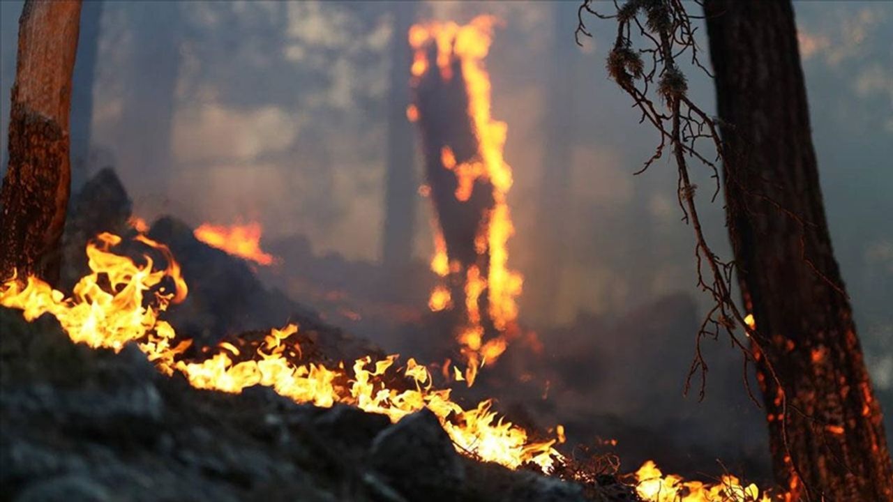 Antalya'nın Akseki ilçesindeki orman yangınına havadan ve karadan müdahale sürüyor