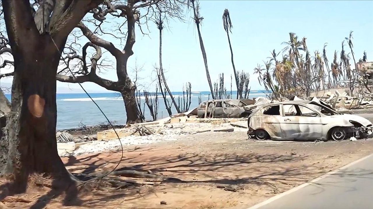 Hawaii'deki orman yangınlarında ölenlerin sayısı 106'ya yükseldi