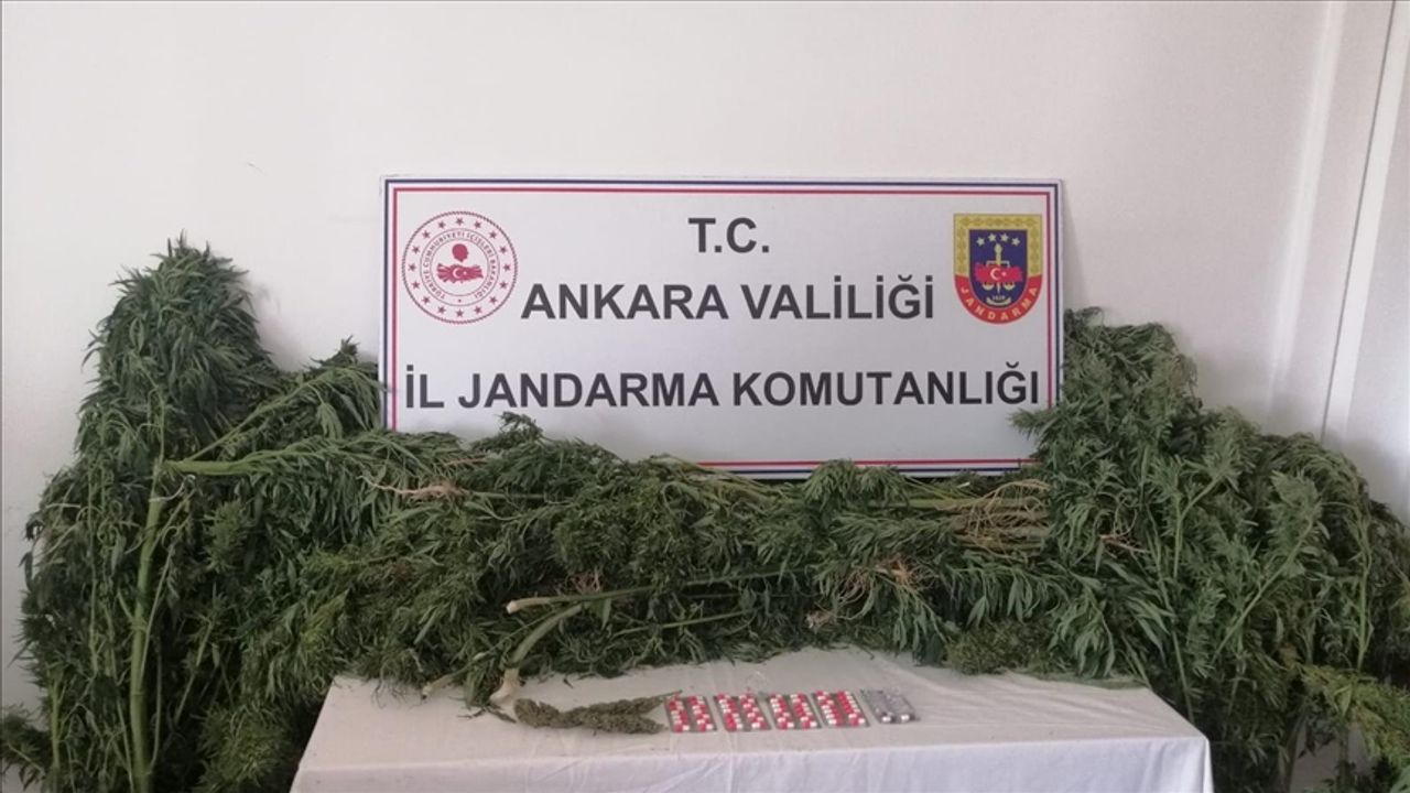 Ankara'da jandarma ekiplerince uyuşturucu operasyonu düzenlendi
