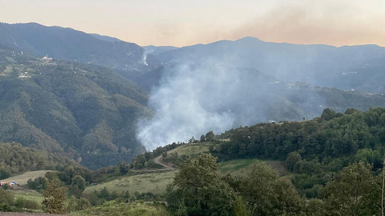 Kocaeli'deki orman yangını 3 saatte kontrol altına alındı