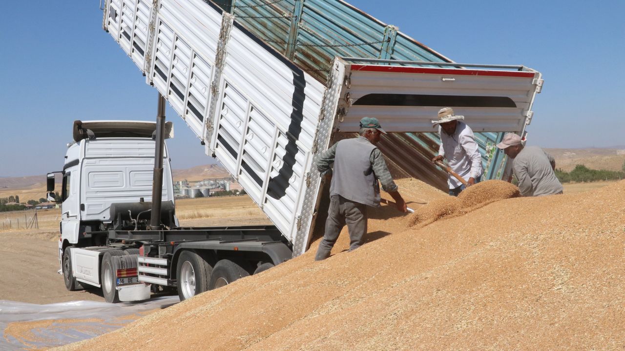Yozgat'ta TMO'ya 800 bin ton arpa ve buğday teslim edildi