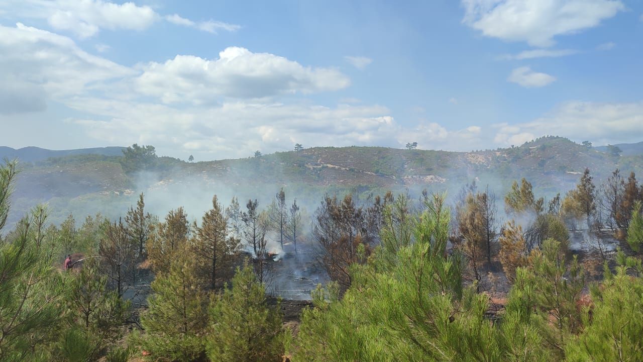 Balıkesir'de Kazdağları eteklerinde çıkan orman yangını söndürüldü