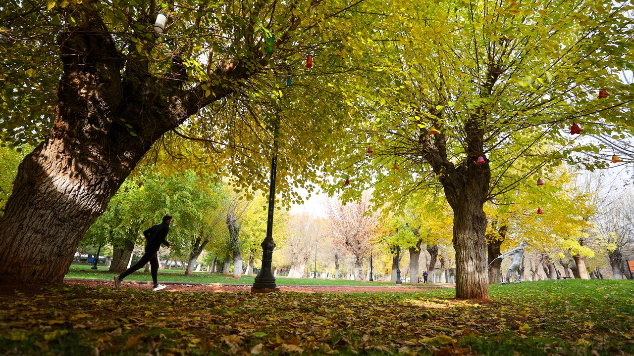 Gaziantep'te sonbahar renkleri hakim oldu