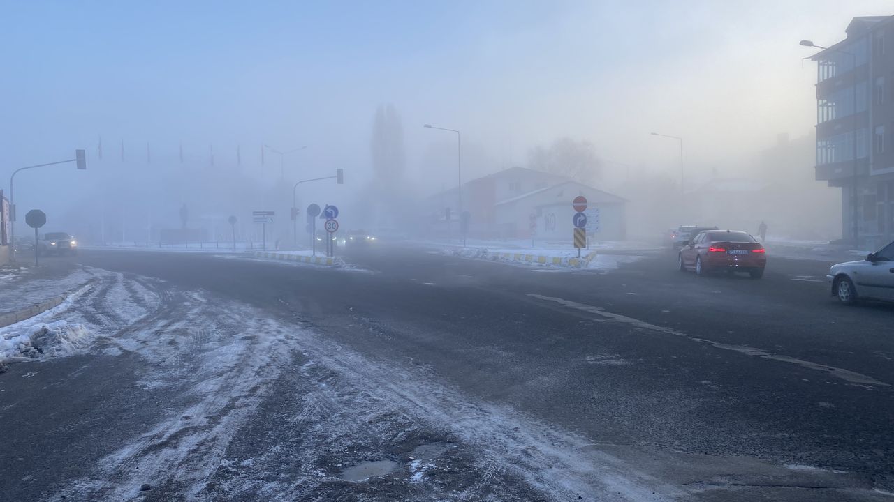 Ardahan'da soğuk hava ve sis etkili oldu