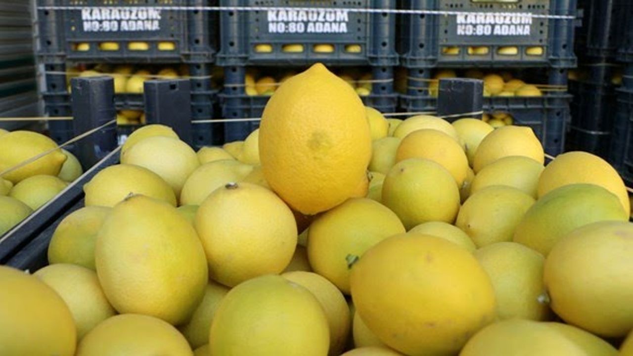 Limonda üretici-market farkı 6,5 kat