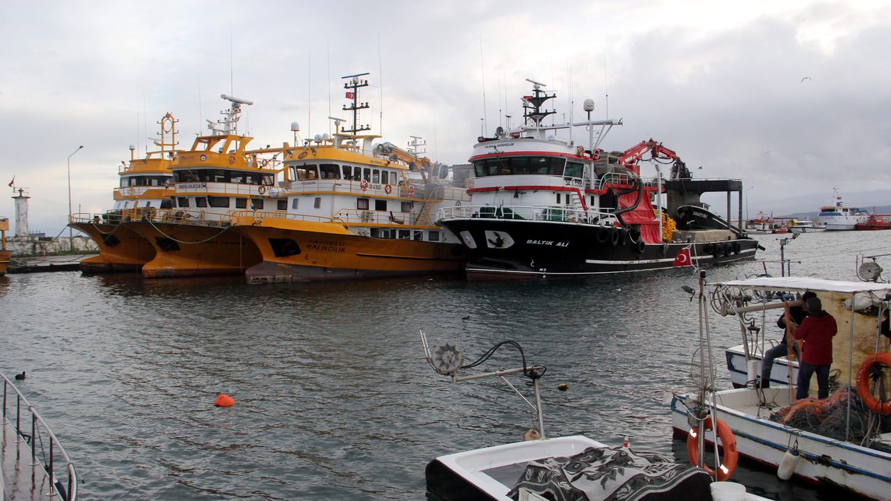Sinop'ta balıkçılar ve yük gemileri fırtına nedeniyle doğal limana sığındı