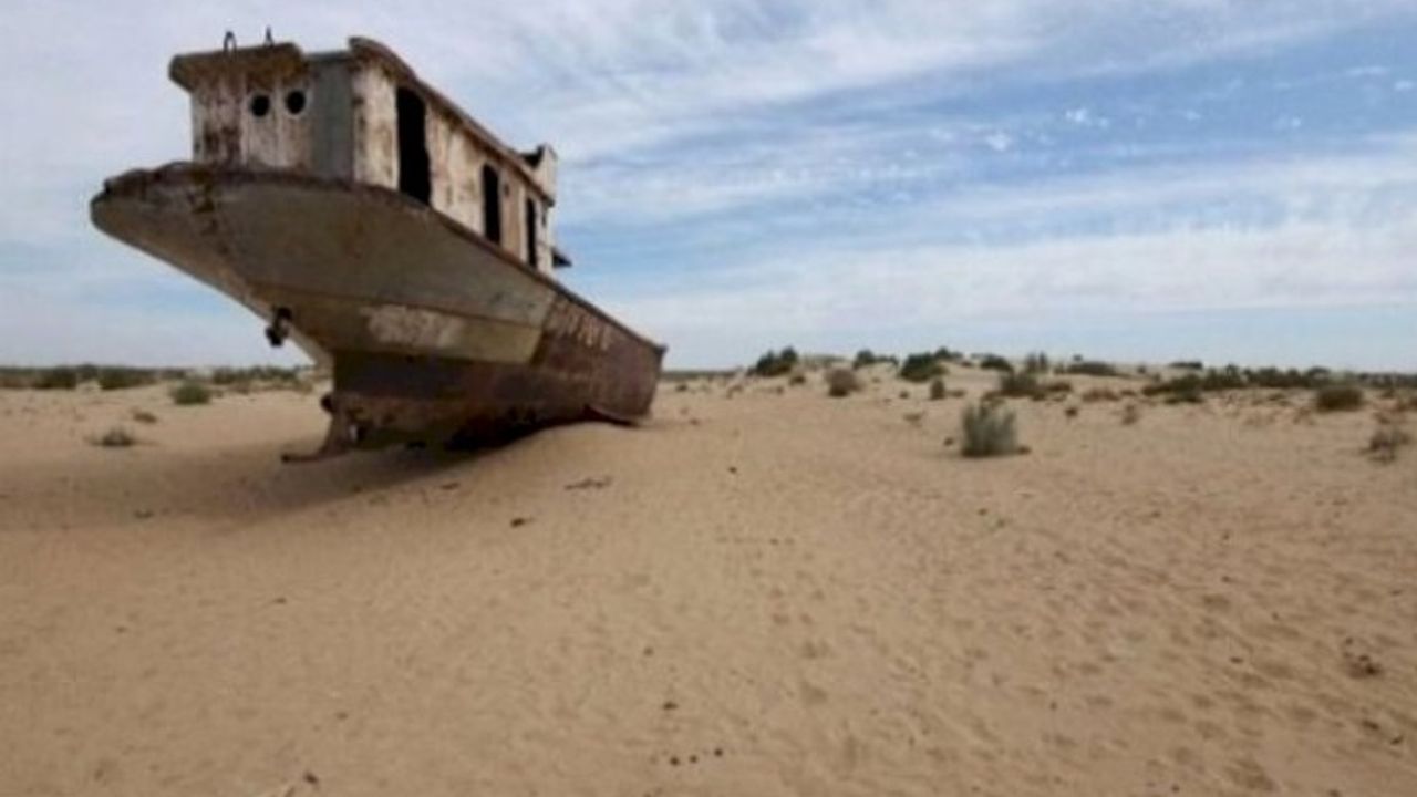 Kazakistan, Aral Gölü’nün kuruyan bölgelerine saksaul ağacı dikecek