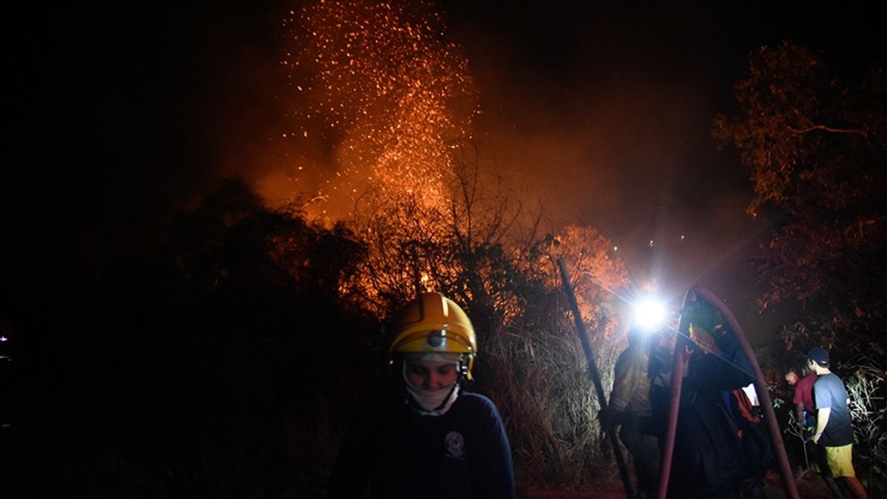 Kolombiya, devam eden orman yangınları nedeniyle "uluslararası yardım" talep edecek