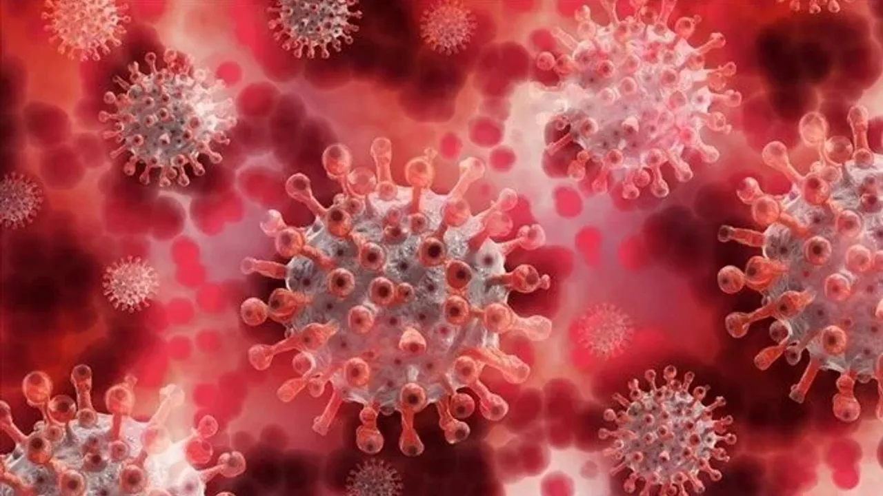 Çin'de yeni ölümcül virüs