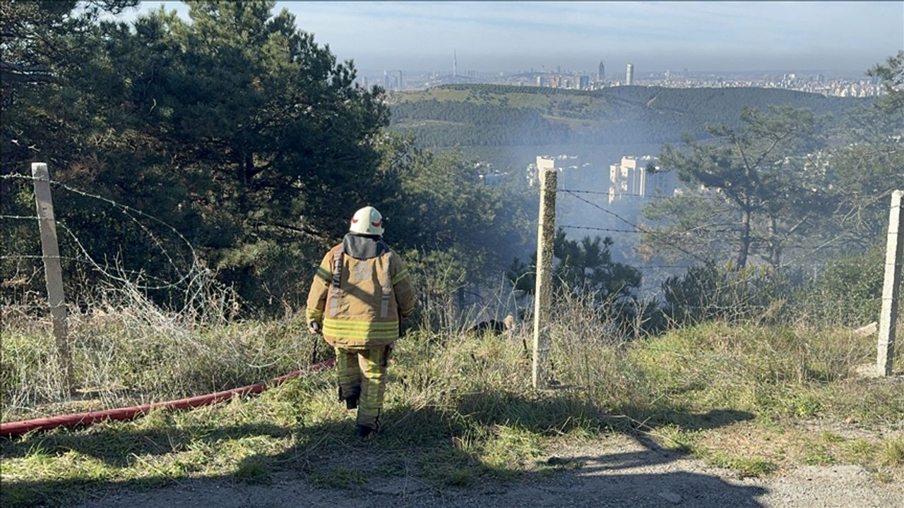 İstanbul'da ormanlık alanda çıkan yangın söndürüldü