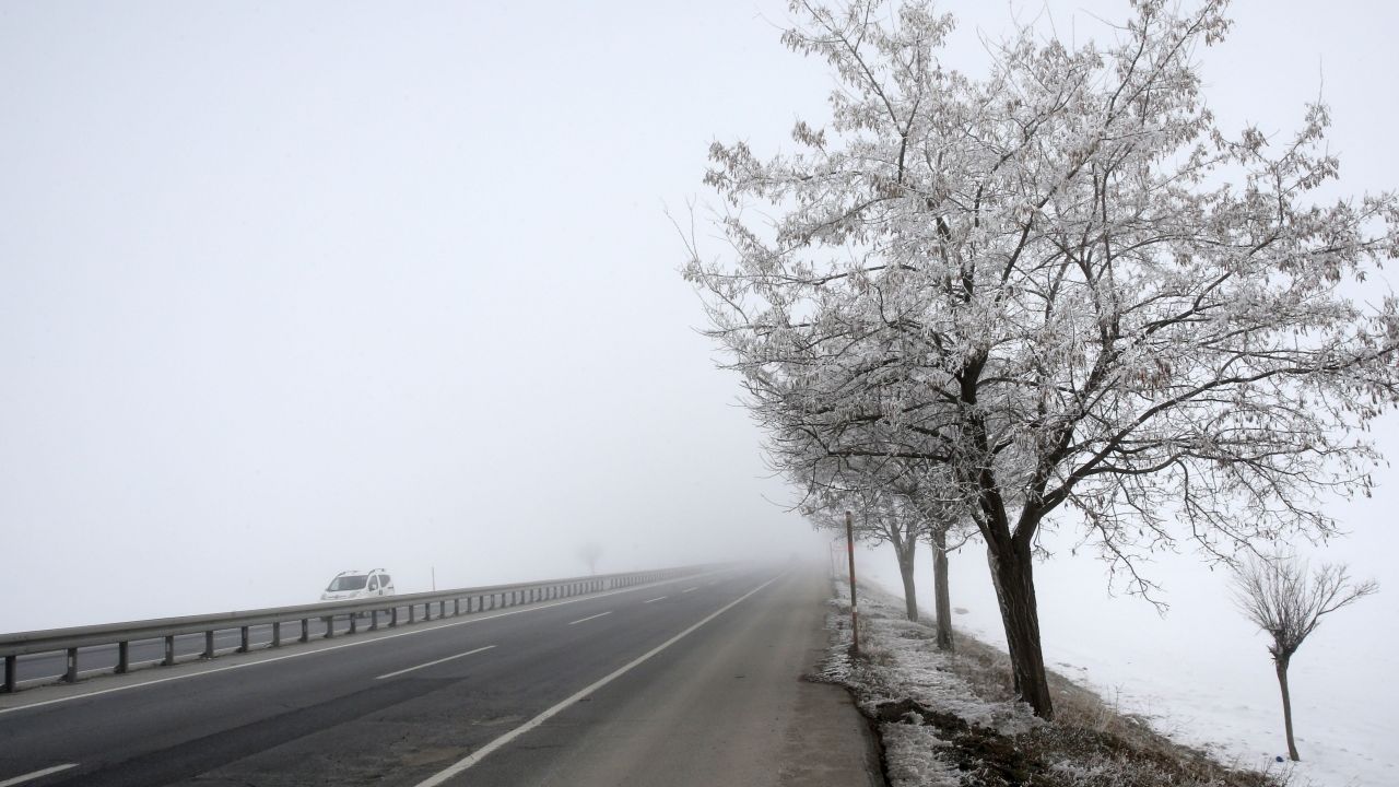 Bitlis'te soğuk hava ve sis etkili oldu
