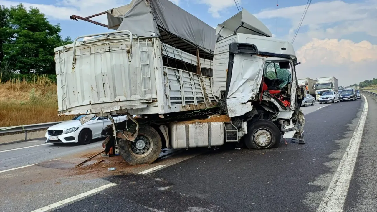 Samsun'da Kamyona Çarpan Hayvan Taşıyan Araç Kazası
