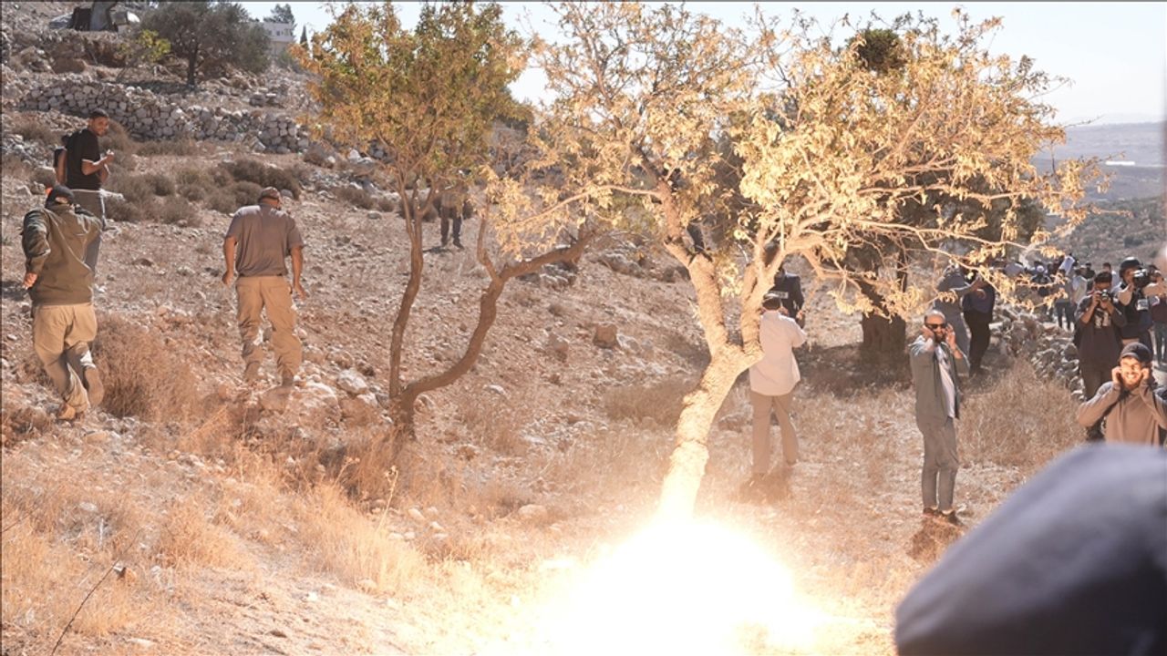 Filistin topraklarını gasbeden İsraillilerin Batı Şeria'da bir fidanlığı ateşe vermesi sonucu 3 kişi yaralandı