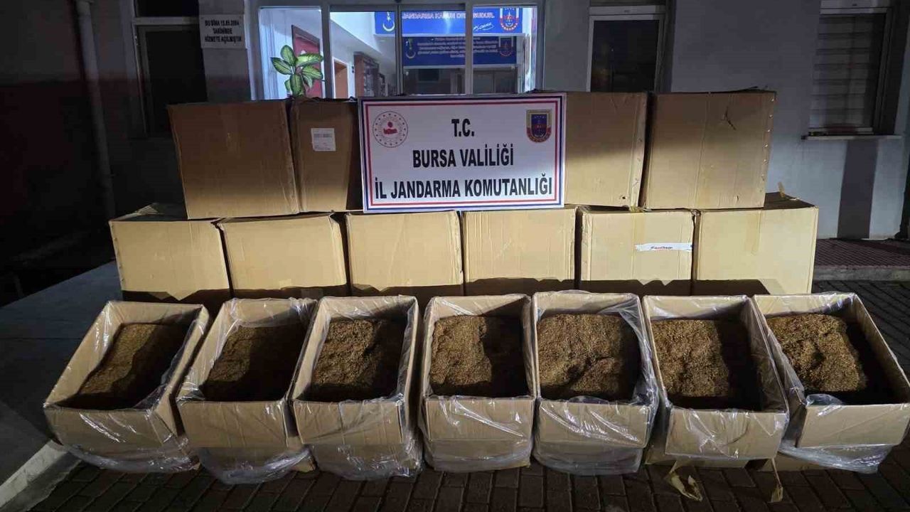 Bursa’da 750 kilogram kaçak tütün ele geçirildi