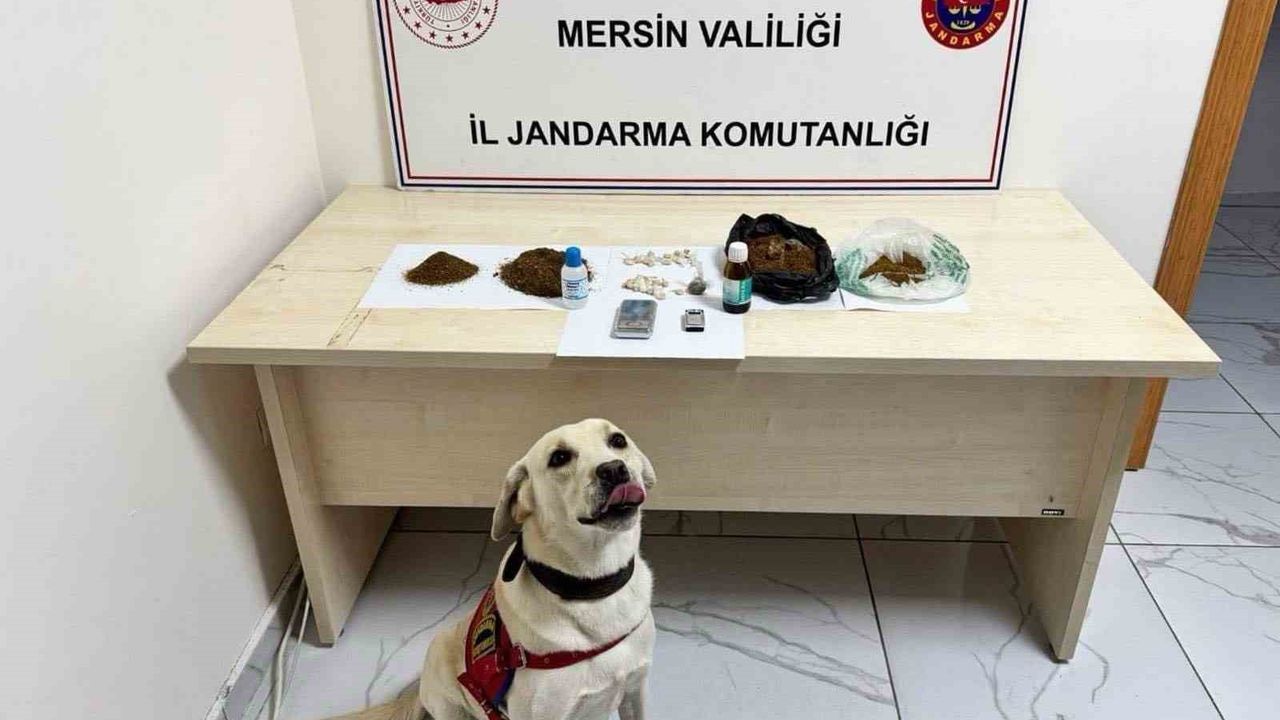 Mersin’de yasaklı madde operasyonu: 5 şüpheli tutuklandı