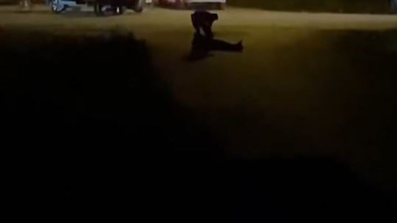 Arnavutköy'de gece yarısı sokak ortasında kavga