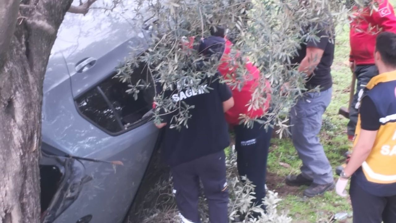 Kontrolü kaybetti zeytin bahçesine uçtu: 2 yaralı
