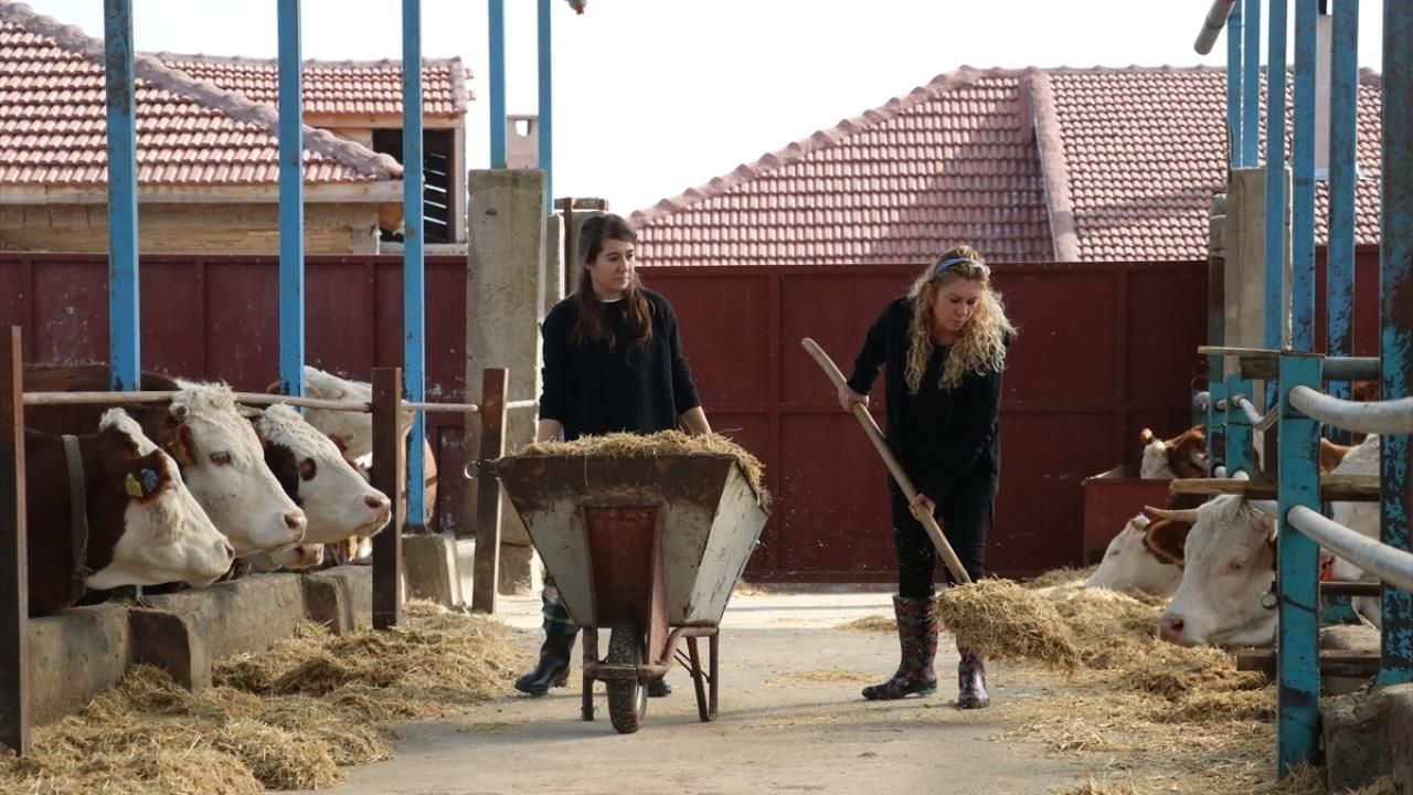 Hayvancılıkta verimlilik gelecek yıl desteklerle artırılacak