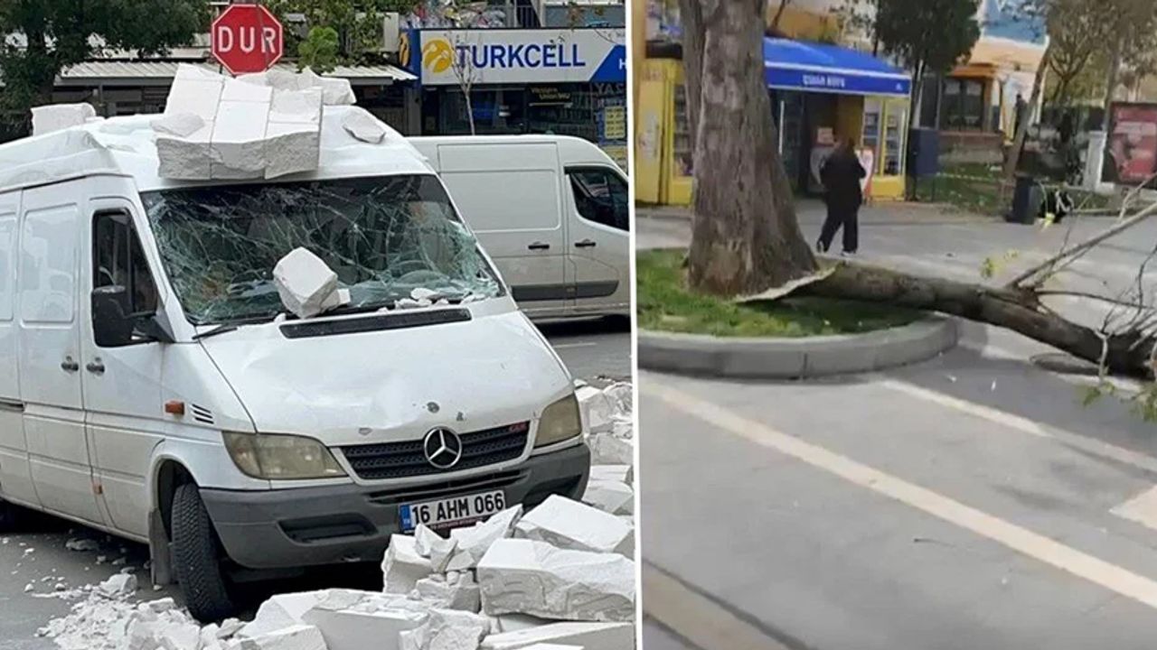 Bursa'yı lodos vurdu: Ağaçlar devrildi, teleferik seferleri durdu