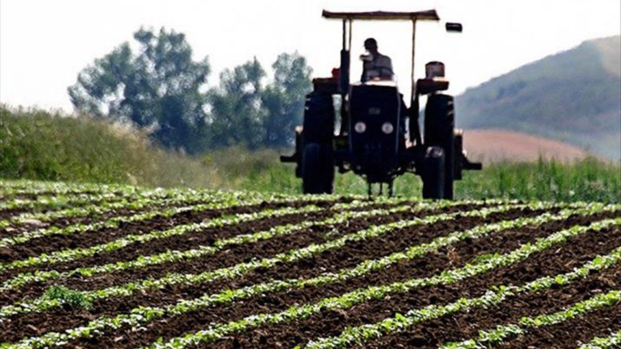 Çorum'da çiftçi, "hayvan otlatma" nedeniyle tartıştığı komşusunu öldürüp intihar etti