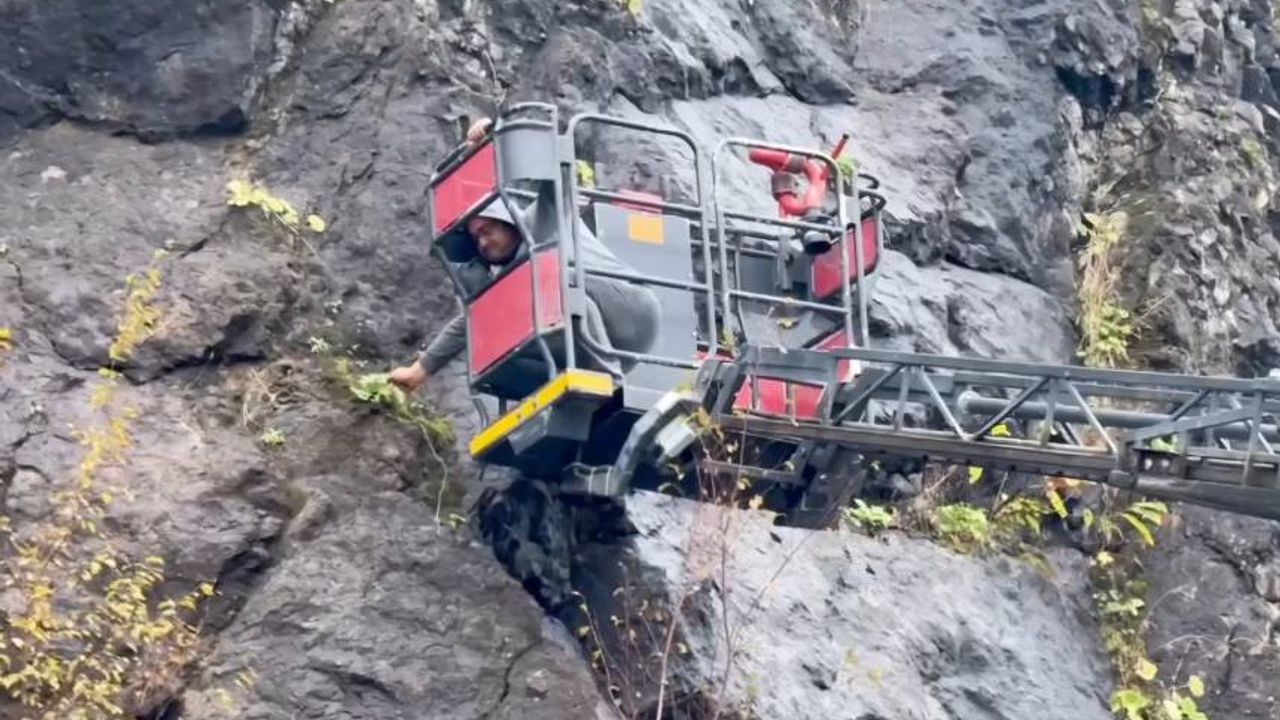 Amasra'da kayalardan sarkan kablolar paniğe neden oldu