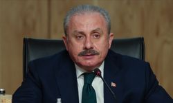 TBMM Başkanı Şentop'tan PKK/YPG'lilerin Fransa Senatosunda ağırlanmasına tepki