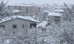 Samsun ve Tokat'ta kar yağışı etkili oldu
