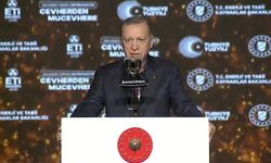 Cumhurbaşkanı Erdoğan: Ülkemizin tüm değerlerini harekete geçirmekte kararlıyız