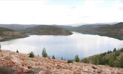 Bahar yağışları Sivas'taki 4 Eylül Barajı'nda su seviyesini artırdı